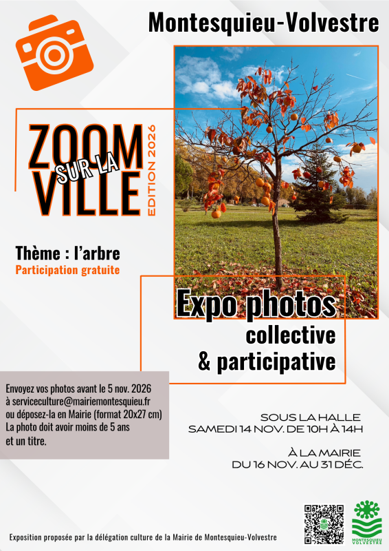 Zoom sur la ville Montesquieu-Volvestre 2026
