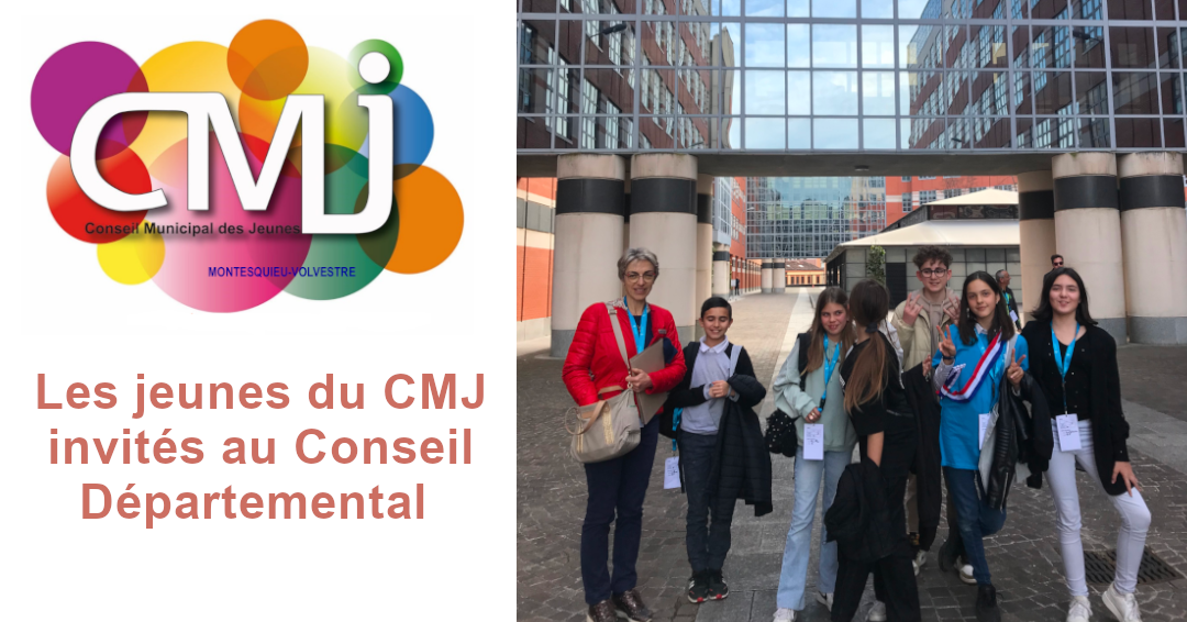 Les jeunes du CMJ invités au Conseil Départemental