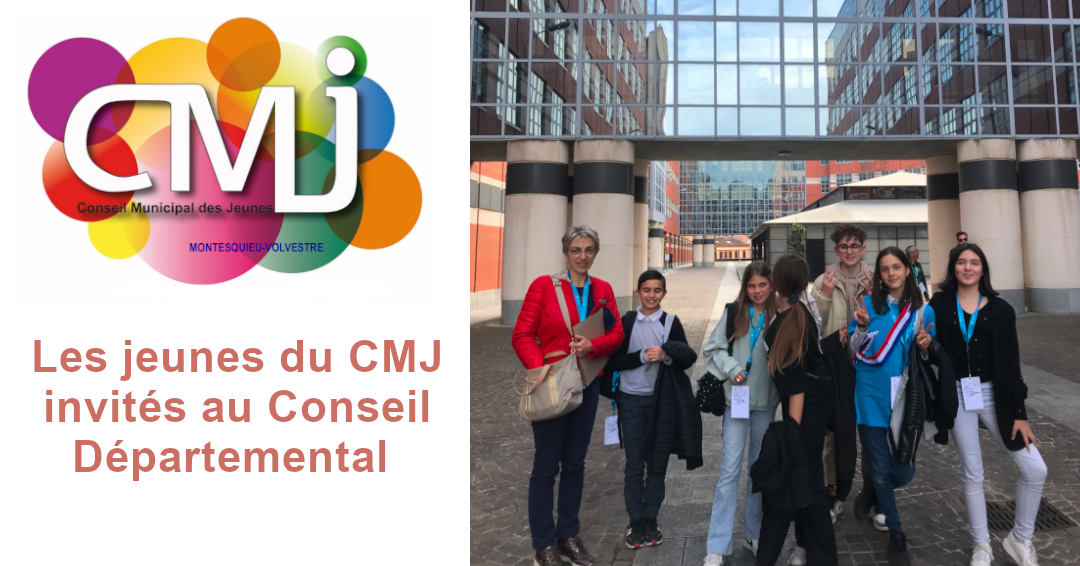 Les jeunes du CMJ invités au Conseil Départemental 