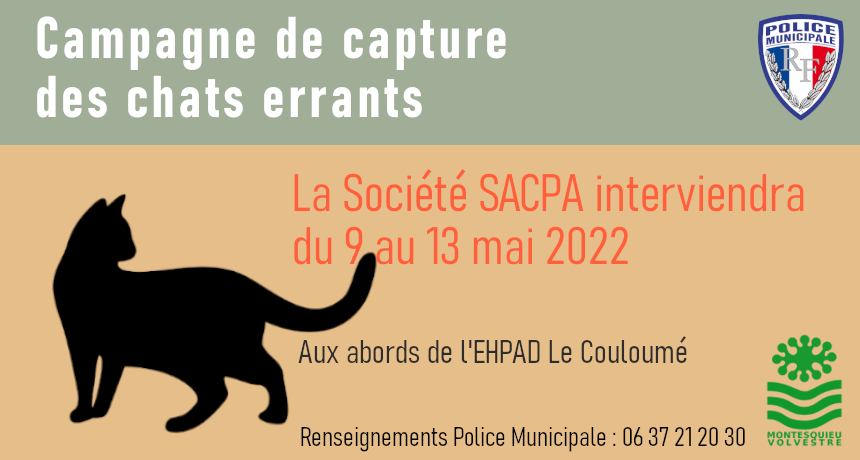 Campagne capture de chats errants