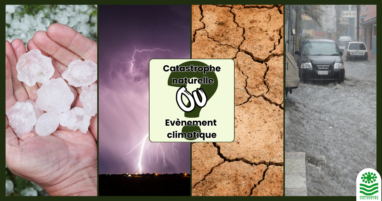Catastrophe naturelle ou évènement climatique ?