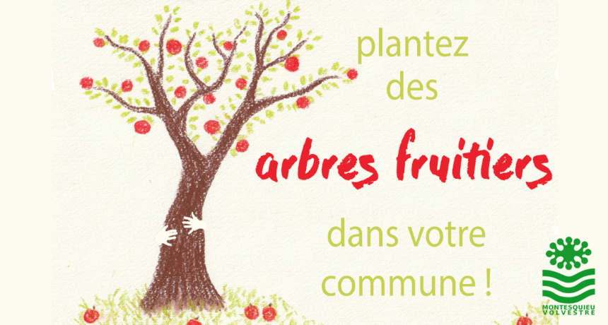 Plantez un arbre fruitier dans votre commune !