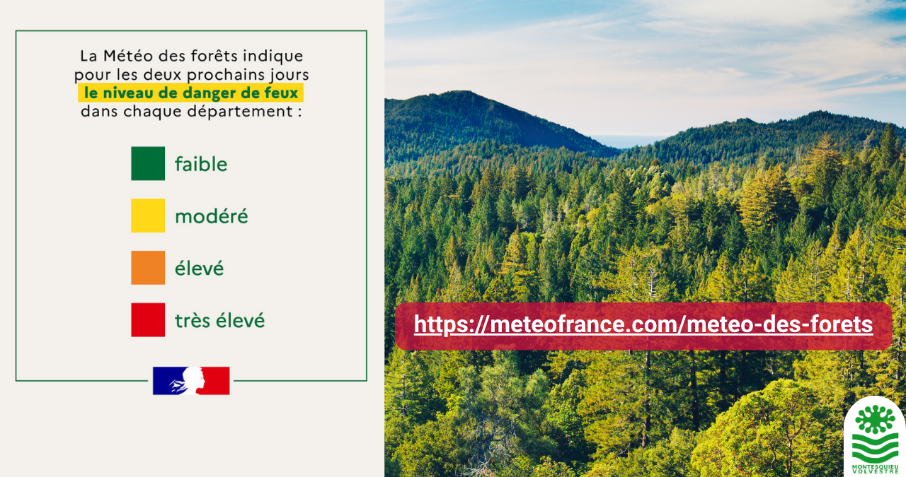 Météo des forêts