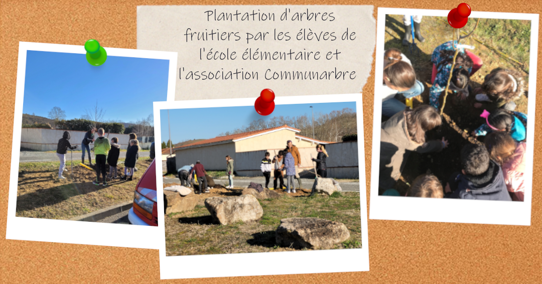 Plantation d'un verger et extension de la cour de l'école