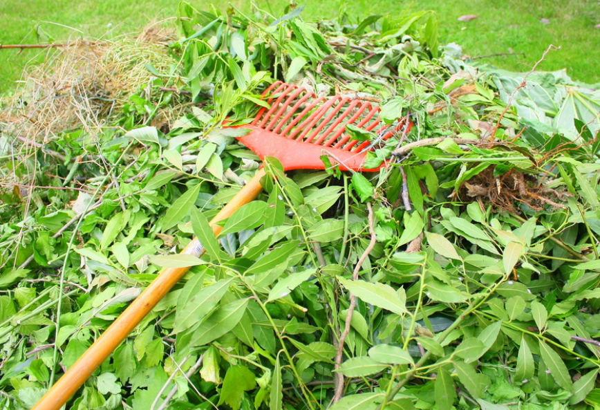 déchets verts