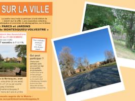 ZOOM sur la ville 2020