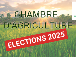 Élections des membres de la chambre d'agriculture de la Haute-Garonne