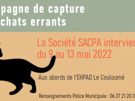Campagne capture de chats errants