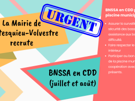 Annonce recrutement BNSSA Montesquieu Volvestre