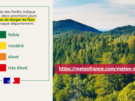 Météo des forêts