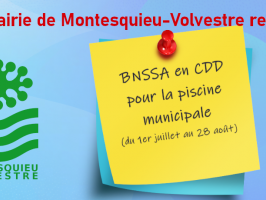 Offre d'emploi : personne titulaire du BNSSA