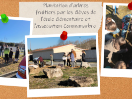 Plantation d'un verger et extension de la cour de l'école