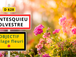 Montesquieu : objectif, village fleuri