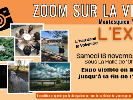 Zoom sur la ville : l'expo Montesquieu-Volvestre