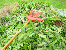 déchets verts