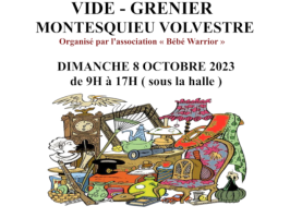 Vide grenier