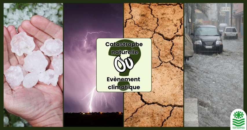 Catastrophe naturelle ou évènement climatique ?