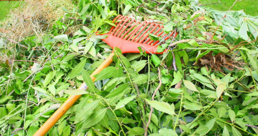 déchets verts