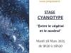 Stage cyanotype